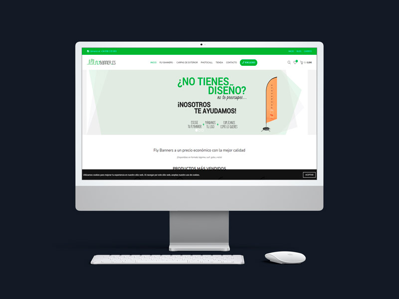Flybanner Proyecto Web